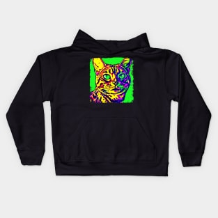 Toyger Pop Art - Cat Lover Gift Kids Hoodie